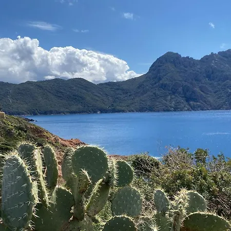 Le Porto T3 55m2 Vue Immeuble Traditionnel En Pierre De Taille Avec Prestations Exceptionnelles Barbecue Ordinateur Videosurveillance Terrasse Panoramique
