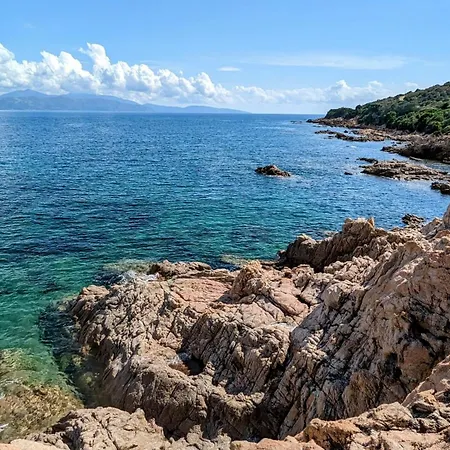 Le Porto T3 55m2 Vue Immeuble Traditionnel En Pierre De Taille Avec Prestations Exceptionnelles Barbecue Ordinateur Videosurveillance Terrasse Panoramique *