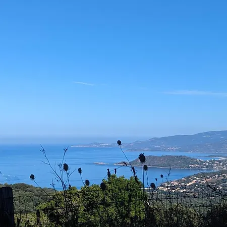 Le Porto T3 55m2 Vue Immeuble Traditionnel En Pierre De Taille Avec Prestations Exceptionnelles Barbecue Ordinateur Videosurveillance Terrasse Panoramique *