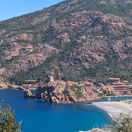 Le Porto T3 55m2 Vue Immeuble Traditionnel En Pierre De Taille Avec Prestations Exceptionnelles Barbecue Ordinateur Videosurveillance Terrasse Panoramique 아파트 *