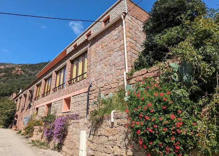 Le Porto T3 55m2 Vue Immeuble Traditionnel En Pierre De Taille Avec Prestations Exceptionnelles Barbecue Ordinateur Videosurveillance Terrasse Panoramique *