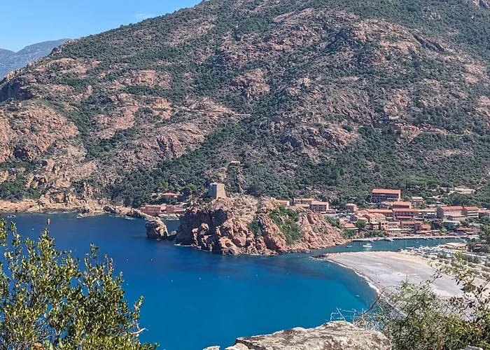 Апартаменты Le Porto T3 55m2 Vue Immeuble Traditionnel En Pierre De Taille Avec Prestations Exceptionnelles Barbecue Ordinateur Videosurveillance Terrasse Panoramique