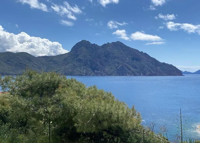 Le Porto T3 55m2 Vue Immeuble Traditionnel En Pierre De Taille Avec Prestations Exceptionnelles Barbecue Ordinateur Videosurveillance Terrasse Panoramique Апартаменты *