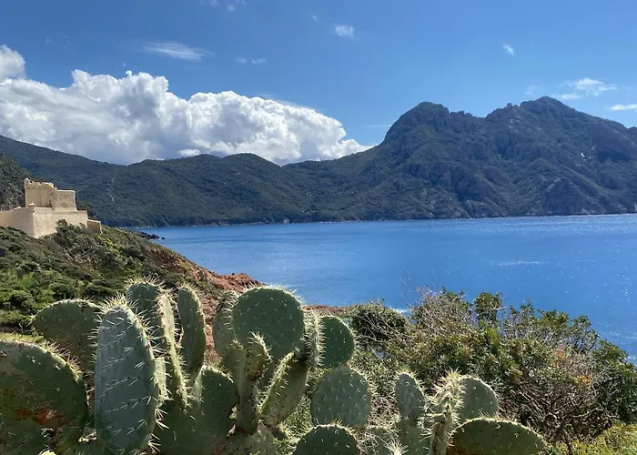 Le Porto T3 55m2 Vue Immeuble Traditionnel En Pierre De Taille Avec Prestations Exceptionnelles Barbecue Ordinateur Videosurveillance Terrasse Panoramique